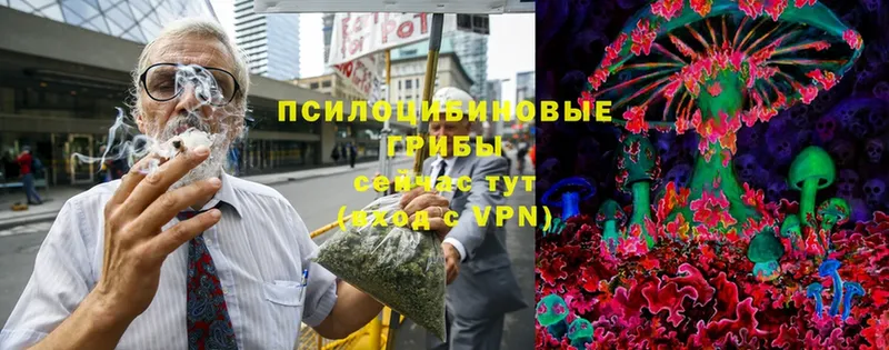 Псилоцибиновые грибы Magic Shrooms  OMG зеркало  Полярные Зори 